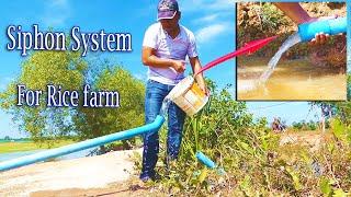 SIPHON SYSTEM Free Energy Water Pump  Pump Without Electricity using old PVC