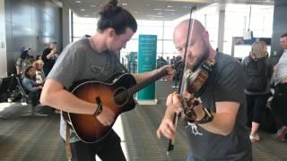 Fergal Scahills fiddle tune a day 2017 - Day 177 - The Curlew