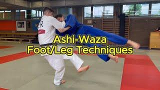 Ashi Waza - FootLeg Techniques