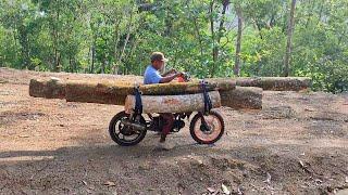 a very risky way of transporting a lot of wood by motorbike