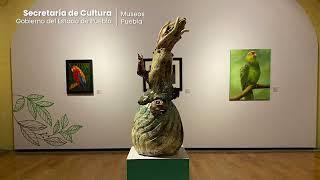 Alas Verdes La Naturaleza Reimaginada en el Arte Contemporáneo