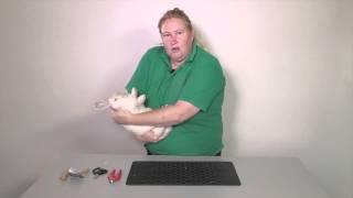 Behaviour & handling How to restrain a rabbit