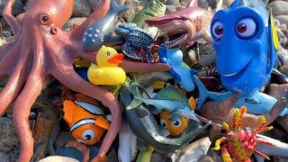 Finding Sea Animal Toys Near a River