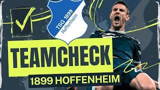 TSG Hoffenheim im Bundesliga Teamcheck 202425 Zieht Matarazzo den Abwehr-Joker aus dem Ärmel? 🃏