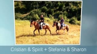 Trekking Appennino Reggiano