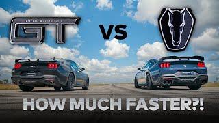 2024 Ford Mustang GT vs. Dark Horse Mustang  Stock Comparison  Dig and Roll Drag Race