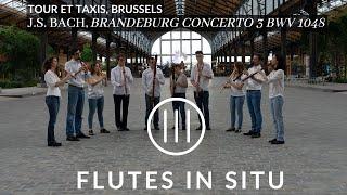 Flutes in situ- Tour et Taxis E10. Brandeburg concerto 3 BWV 1048. J.S. Bach