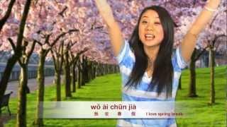 Learn Chinese New yearSpring Festival Spring Spring Break in Mandarin Chinese 四季春夏秋冬