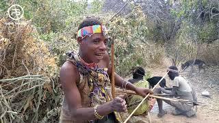 Hadzabe Tribe Leader Shows Us How The Arrows Are Used To Hunt.