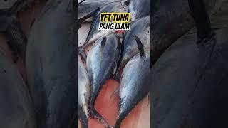 Full loads of Yellow fin Tuna #fishing #offshorefishing #yellowfintuna #instastory #viralvideos