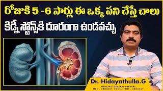 కిడ్నీ రాళ్ళు కరగాలంటే  Precautions For Kidney Stones in Telugu  Dr Hidayathulla  TX Hospitals