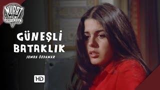 Güneşli Bataklık  FULL HD