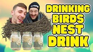 Drinking Birds Nest Drink  WheresMyChallenge