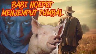 BABI NGEPET MENJEMPUT TUMBAL  KISAH MISTERI  PESUGIHAN