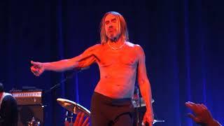 IGGY POP - Passenger - Live @ Besançon le 06052022