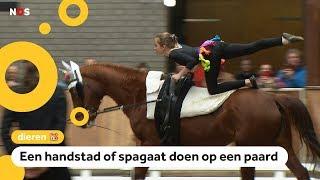 Dit is voltige turnen op de rug van een paard