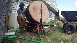 Homelite 5-ton Electric Log Splitter Review - 25 in Oak Log