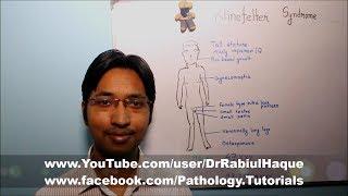 Klinefelter Syndrome  Part 2 HD
