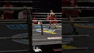 С первого удара. Одним ударом. Бой FCC Boxing 