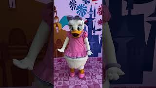 Go Daisy Go Daisy  #shorts #disney #d23 #d23creators #daisy #donaldduck #music #dance