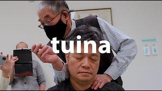 types of tuina  traditional massage acupuncture  medicine  dongguk university los angeles