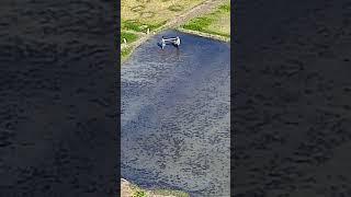 cultivation land by man #dronecapture ##islamic #dronevideo #allah #dronevideography #nature #hamd