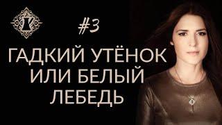 ГАДКИЙ УТЁНОК ИЛИ БЕЛЫЙ ЛЕБЕДЬ? #Адакофе 3