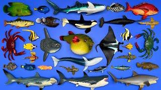 32 Sea Animals Megalodon Whale Shark Orca Pufferfish Crab Blue Whale Angler Fish Etc. MN065