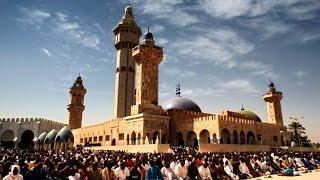 Touba Trailer