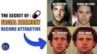 The Secret Behind Facial Harmony For Attractive Looks blackpill