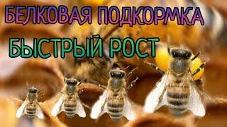 БЕЛКОВАЯ ПОДКОРМКА БУРНЫЙ РОСТ то что точно работает.