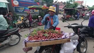 Cambodian Countryside Market Food Compilation - Vegetables fresh meat and fish diverse street food