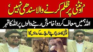 Sanghar Camel Incident  Governor Sindh Kamran Tessori Announcement   Breaking News  Pakistan News