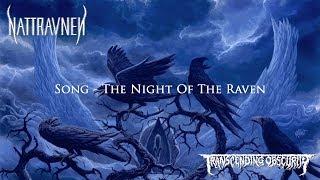 NATTRAVNEN International - The Night Of The Raven Dark Death Metal Transcending Obscurity