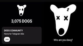 Dogs airdrop dogshouse bot claim your DOGS allocation dogs coin real or fake?