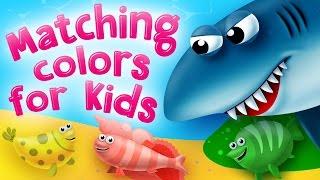 Matching Colors for Kids  Matching Games for Preschool and Kindergarten  Kids Academy