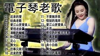 电子琴经典老歌 - 电子琴100首好听歌曲  迟来的爱 爱江山更爱美人 爱拼才会赢 酒醉的蝴蝶广 粉红色的回忆 花心  每天調心洗滌心性 Relaxing Chinese Music