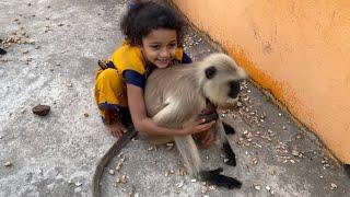 Unconditional love and compassion between mother langoor and little girl Ipsita.