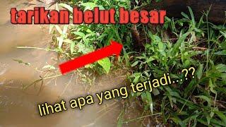 mancing belut abg bongsor