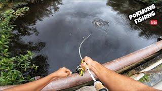 Mancing Ikan Bulan Banyak Tepi Jambatan Dungun 