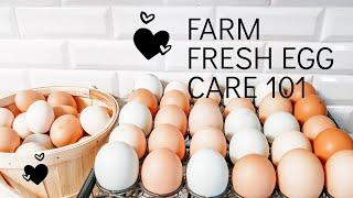 How to Clean Farm Fresh Eggs