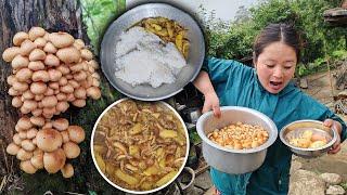 Nepali Village jungle Mushroom Recipe  Nepali Chyau Recipe अचानक आज आफ्नै जंगल मा च्याउ भेट्टाय