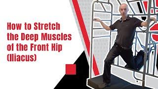 How to Stretch the Deep Muscles of the Front Hip  Iliacus  Ed Paget