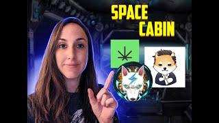 SpaceChick Space Cabin- Cannabis Blockchain Volt-Inu Undead Blocks Dogelon Mars Elon Goat Token?