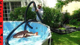 BUILDING the POOL POND for FISH **Catching the L**