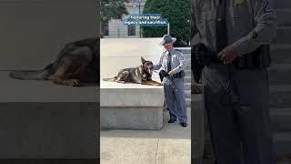 Behind the scenes SC Highway Patrol K-9 photo shoot