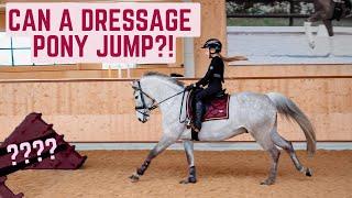 CAN A DRESSAGE PONY JUMP? HARLOW RIDES MILO