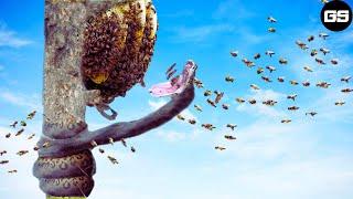 30 Brutal Moments Of Bees Hunting What Happened in Nature  Wild Animals