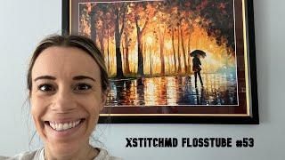 Xstitchmd Flosstube #53 - BEWITCHED PARK IS FRAMED FULL COVERAGE STARTS KNIT & CROCHET FINISHES