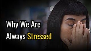 Unraveling Stress Why Most People are Always Stressed